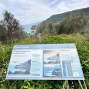 ヒメ日記 2025/10/06 23:03 投稿 ヨナ ニューグランド