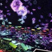 ヨナ チームラボ ニューグランド