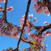 ヒメ日記 2026/03/14 09:47 投稿 ヨナ ニューグランド