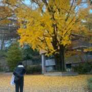 ヒメ日記 2026/03/10 21:55 投稿 エリザベス クラブ　ブレンダ難波店