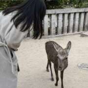 ヒメ日記 2026/03/31 08:05 投稿 エリザベス クラブ　ブレンダ難波店