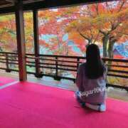 ヒメ日記 2026/09/25 08:05 投稿 エリザベス クラブ　ブレンダ難波店