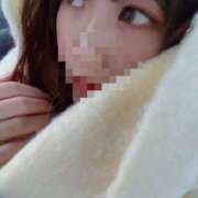 ヒメ日記 2025/06/19 23:40 投稿 ふわり 妖精（ようせい）