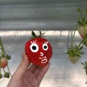 ヒメ日記 2025/07/02 17:33 投稿 ふわり 妖精（ようせい）