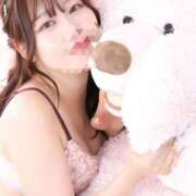 ヒメ日記 2025/07/17 19:01 投稿 ふわり 妖精（ようせい）