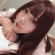 ヒメ日記 2025/08/05 13:31 投稿 ふわり 妖精（ようせい）