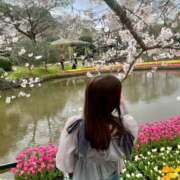 ヒメ日記 2025/08/18 10:18 投稿 ふわり 妖精（ようせい）