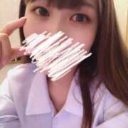 ヒメ日記 2025/08/28 10:22 投稿 ふわり 妖精（ようせい）