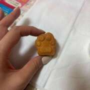 ヒメ日記 2025/09/05 14:22 投稿 ふわり 妖精（ようせい）