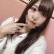 ヒメ日記 2025/09/13 20:01 投稿 ふわり 妖精（ようせい）