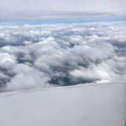 ヒメ日記 2025/10/04 15:52 投稿 ふわり 妖精（ようせい）