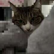 ヒメ日記 2025/10/18 14:30 投稿 ふわり 妖精（ようせい）