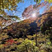 ヒメ日記 2025/10/30 16:52 投稿 ふわり 妖精（ようせい）