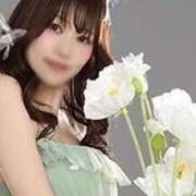 ヒメ日記 2025/11/21 17:21 投稿 ふわり 妖精（ようせい）