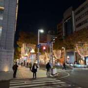 ヒメ日記 2025/11/22 14:05 投稿 ふわり 妖精（ようせい）