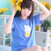 ヒメ日記 2025/11/23 14:25 投稿 ふわり 妖精（ようせい）