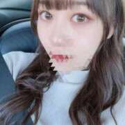 ヒメ日記 2025/12/12 17:45 投稿 ふわり 妖精（ようせい）