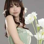 ヒメ日記 2025/12/29 17:57 投稿 ふわり 妖精（ようせい）