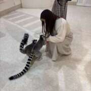 ヒメ日記 2026/01/18 13:59 投稿 ふわり 妖精（ようせい）