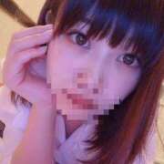 ヒメ日記 2026/01/25 10:58 投稿 ふわり 妖精（ようせい）