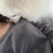 ヒメ日記 2026/01/27 15:17 投稿 ふわり 妖精（ようせい）