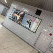 ヒメ日記 2026/02/04 14:05 投稿 ふわり 妖精（ようせい）