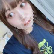 ふわり SaucyDog 妖精（ようせい）