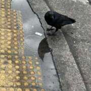 ヒメ日記 2026/02/27 22:05 投稿 ふわり 妖精（ようせい）