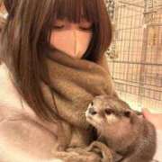ヒメ日記 2026/03/08 11:36 投稿 ふわり 妖精（ようせい）
