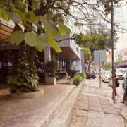 ヒメ日記 2026/03/26 14:05 投稿 ふわり 妖精（ようせい）