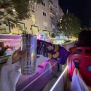 ヒメ日記 2026/03/29 11:58 投稿 ふわり 妖精（ようせい）