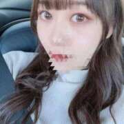 ヒメ日記 2026/04/08 18:35 投稿 ふわり 妖精（ようせい）