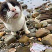 ヒメ日記 2026/04/09 14:25 投稿 ふわり 妖精（ようせい）