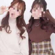 ヒメ日記 2026/04/10 10:08 投稿 ふわり 妖精（ようせい）