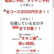 ヒメ日記 2026/04/13 12:54 投稿 ふわり 妖精（ようせい）