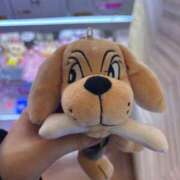 ヒメ日記 2026/04/15 11:15 投稿 ふわり 妖精（ようせい）