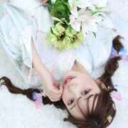 ヒメ日記 2026/04/20 10:15 投稿 ふわり 妖精（ようせい）