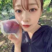 ふわり 【たくさんのありがとう😊】 妖精（ようせい）