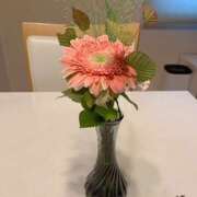 ヒメ日記 2025/07/03 06:51 投稿 ひびき 大塚 虹いろ回春