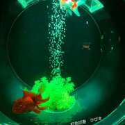 ヒメ日記 2025/07/04 20:28 投稿 ひびき 大塚 虹いろ回春