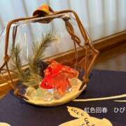 ヒメ日記 2025/07/24 18:28 投稿 ひびき 大塚 虹いろ回春