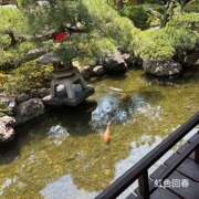 ヒメ日記 2025/07/29 08:24 投稿 ひびき 大塚 虹いろ回春