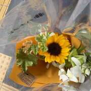 ヒメ日記 2025/08/09 16:25 投稿 ひびき 大塚 虹いろ回春