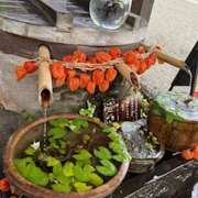 ヒメ日記 2025/08/27 08:15 投稿 ひびき 大塚 虹いろ回春