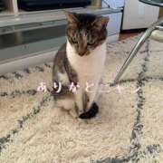 ヒメ日記 2025/09/11 18:51 投稿 ひびき 大塚 虹いろ回春