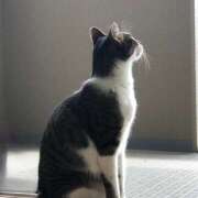 ヒメ日記 2025/09/20 09:38 投稿 ひびき 大塚 虹いろ回春