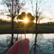 ヒメ日記 2025/09/25 06:57 投稿 ひびき 大塚 虹いろ回春