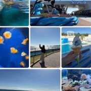 ヒメ日記 2025/11/19 08:49 投稿 ひびき 大塚 虹いろ回春