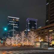 ヒメ日記 2025/12/17 08:18 投稿 ひびき 大塚 虹いろ回春