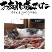 ヒメ日記 2025/12/31 13:51 投稿 ひびき 大塚 虹いろ回春